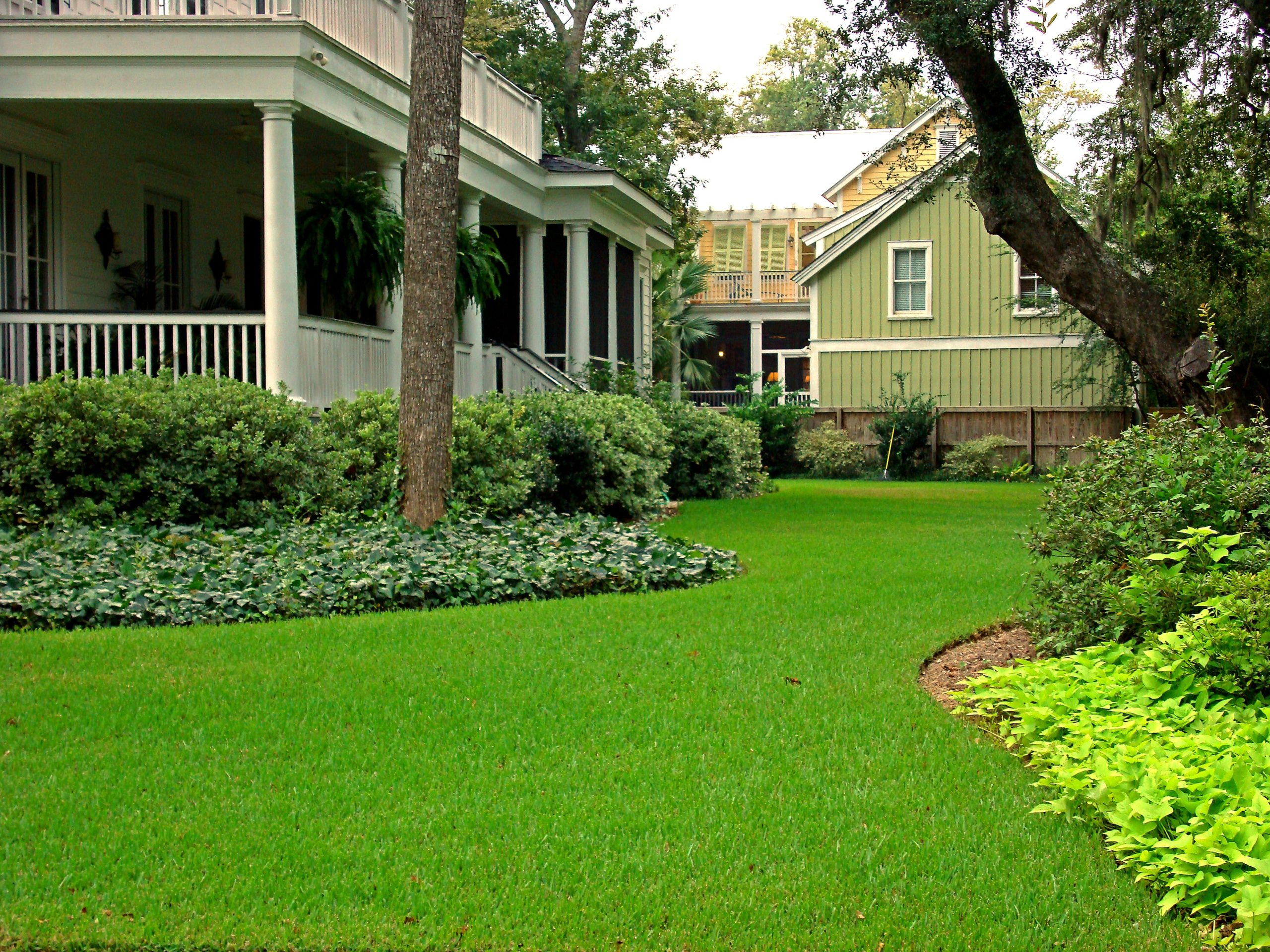 PalmettoResidential1PIC-jw-1-