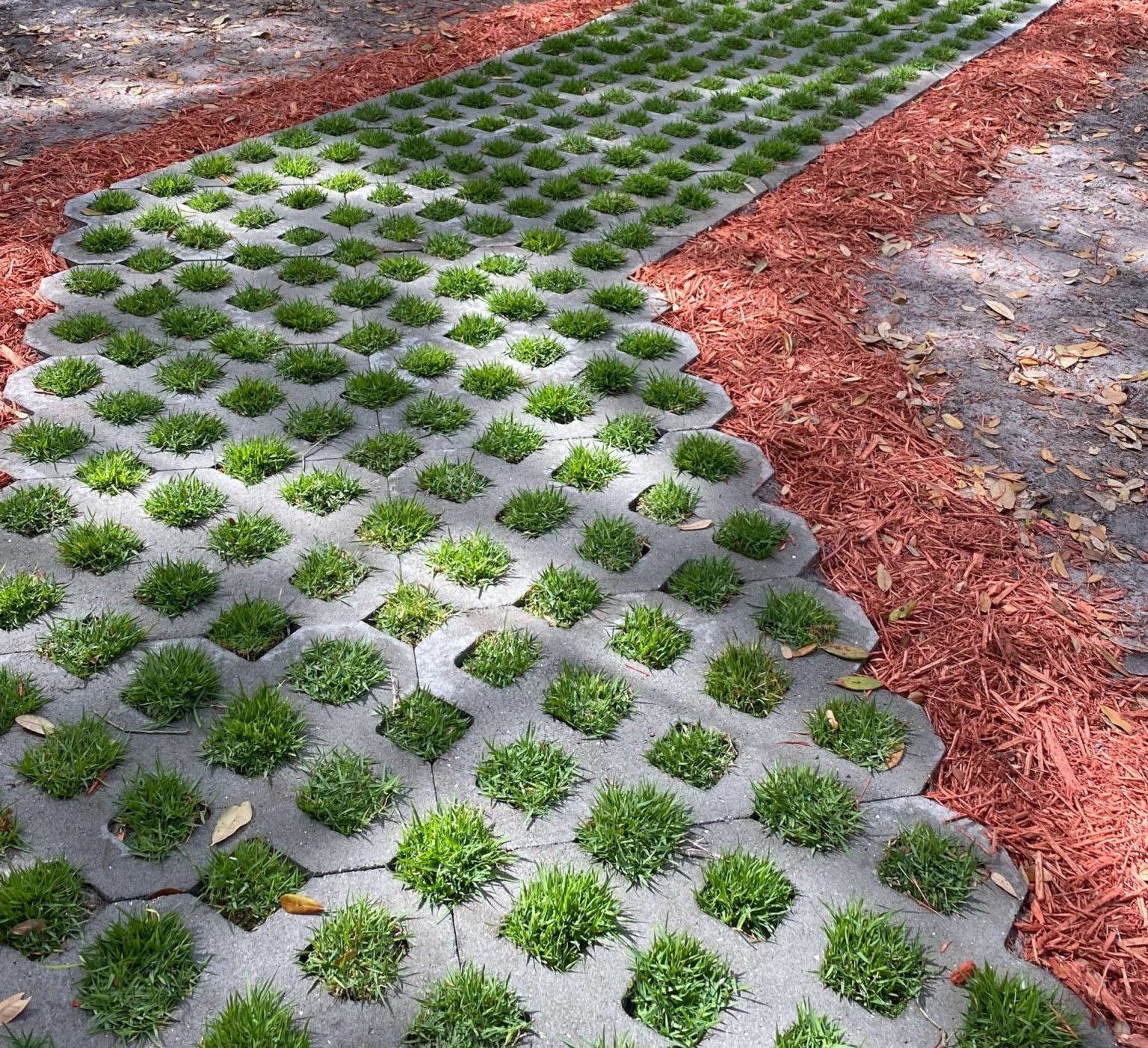 SodPods® Pro Pack Grass Plugs (18 Pack) Big Earth Supply