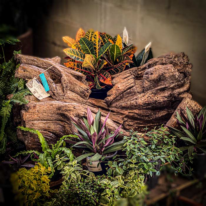 Garden & Home Decor Big Earth Landscape Supply