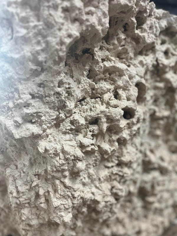 oolite stone zoomed in