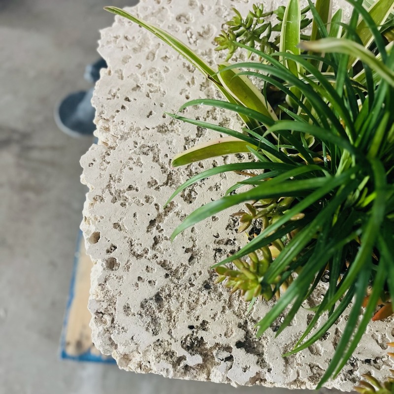 Saw-cut oolite planter in a tropical South Florida landscape