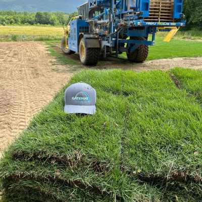 Gateway Zoysia Sod Big Earth Landscape Supply